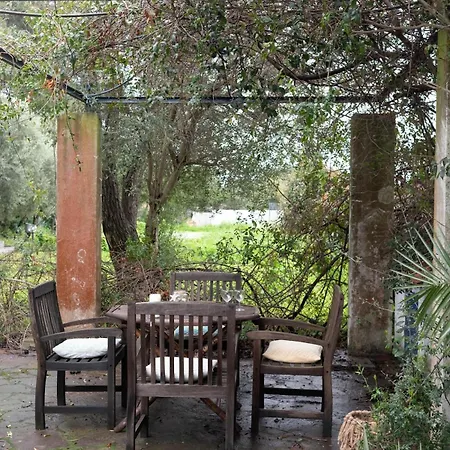 Domo Ilde E Mare Semesterbostad Olbia